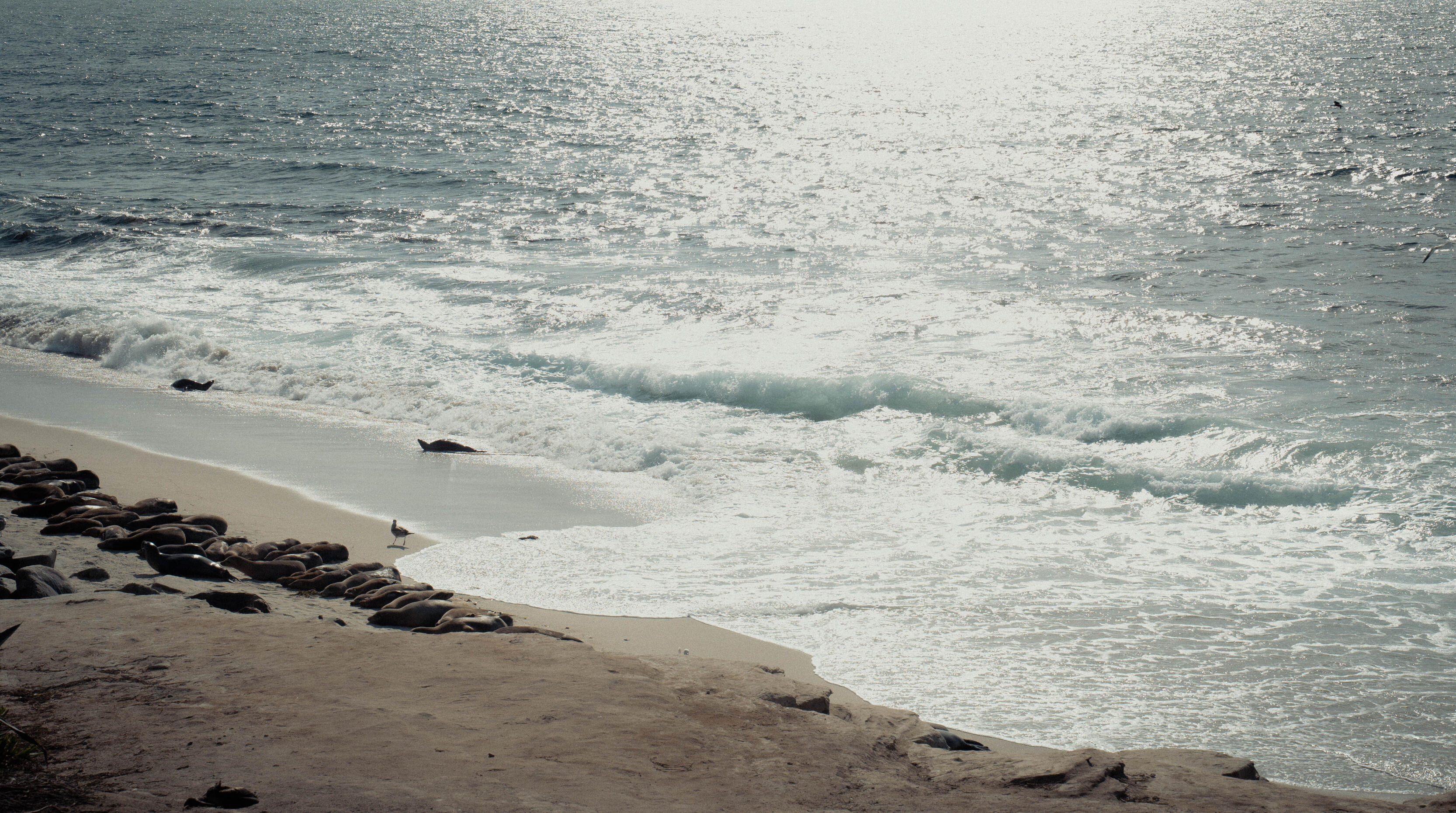 La Jolla, CA